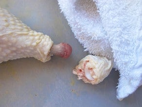 Removing the end bone of a chicken leg.