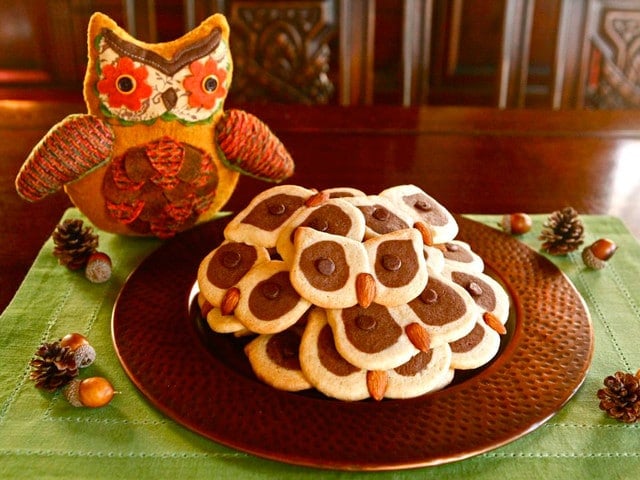 Cookies in the shape of owl faces on a bronze serving plate atop a green placemat on a wooden table. Behind the plate of cookies is an owl stuffed animal.