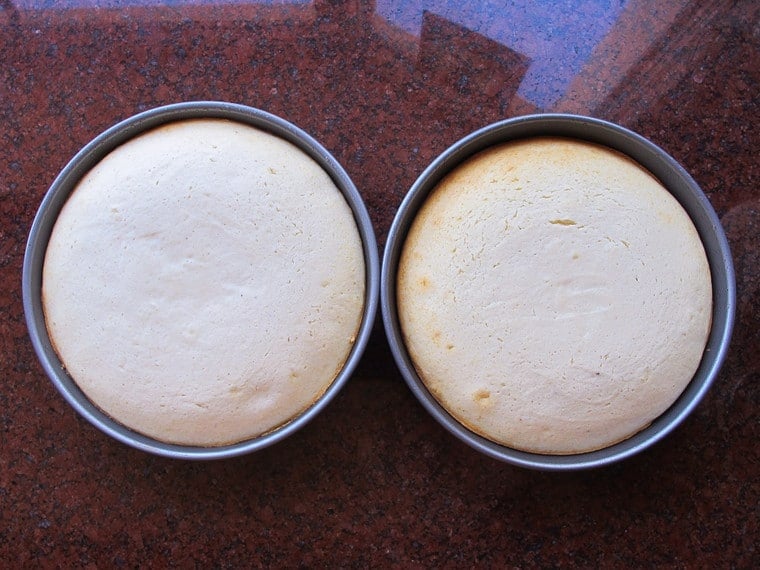 Baked cakes cooling in the pan.