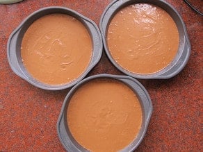 Cake batter divided into three pans.