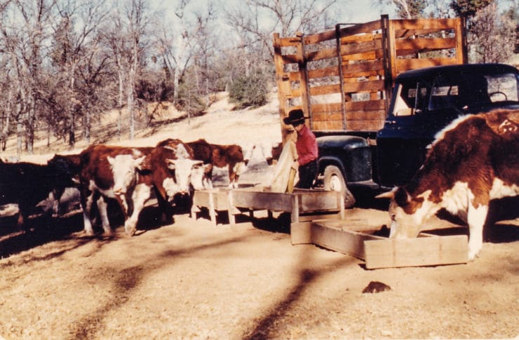 Long Gulch Ranch - Renny Avey, retired Cal Poly agriculture professor, shares what it was like growing up on Long Gulch Ranch in the Sierra Nevada mountains near Yosemite