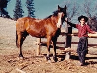 Long Gulch Ranch - Renny Avey, retired Cal Poly agriculture professor, shares what it was like growing up on Long Gulch Ranch in the Sierra Nevada mountains near Yosemite