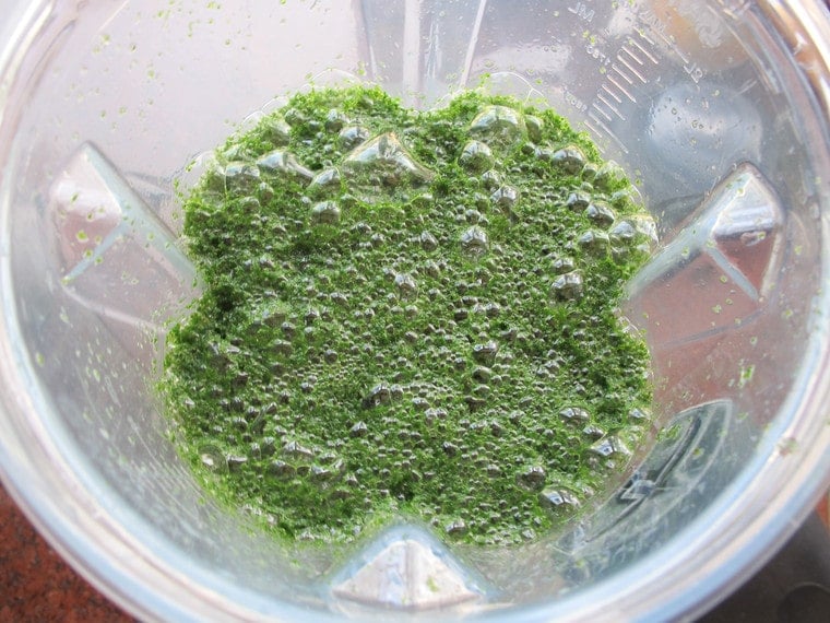 Pour into cold glasses and serve. Garnish with sprigs of mint, if desired. Serve and enjoy!