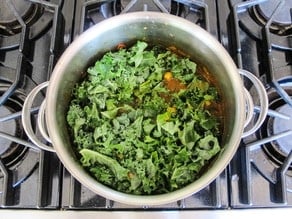 Kale wilting in soup.