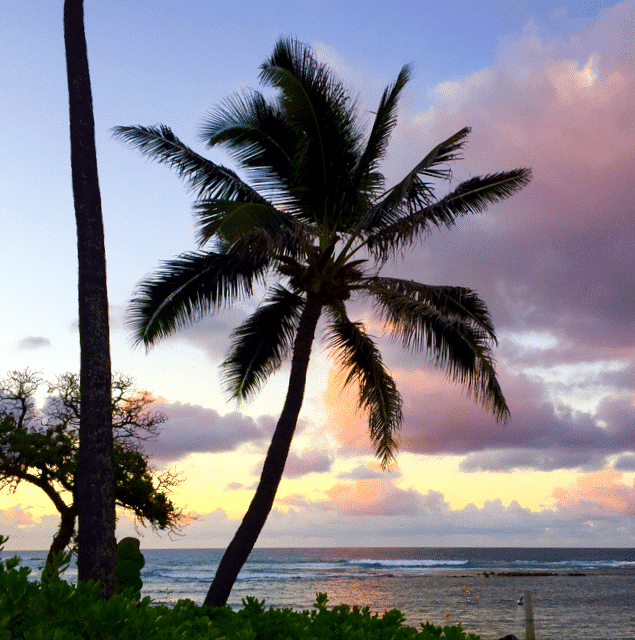 In Hawaii remembering Beth