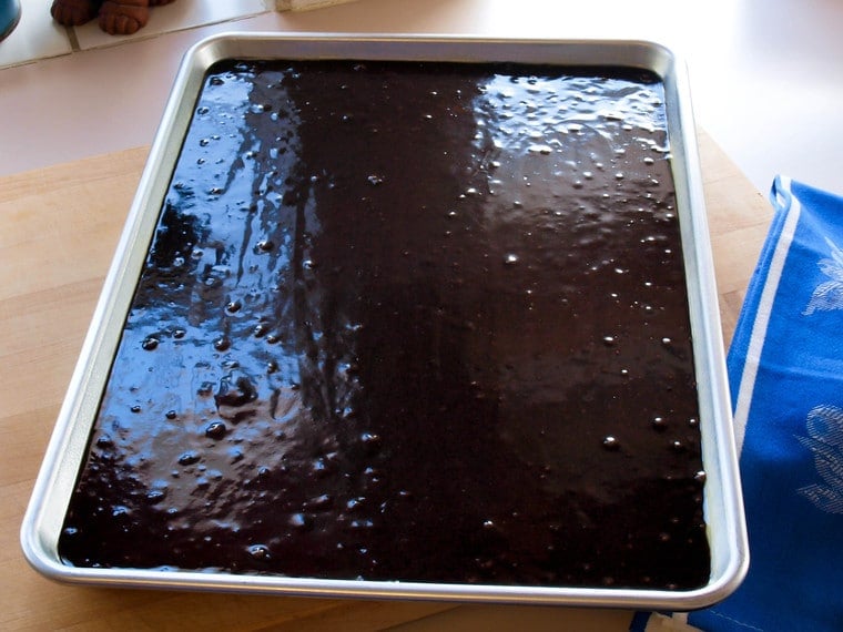 Texas Sheet Cake - Rich, Moist Chocolate Sheet Cake Topped with Chocolate Frosting and Toasted Pecans. Tried-and-True, Quintessential Texas Dessert Recipe.