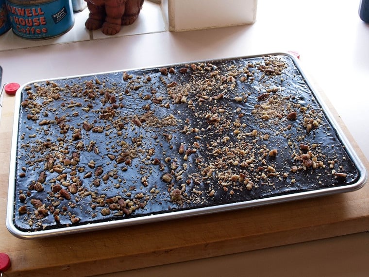 Texas Sheet Cake - Rich, Moist Chocolate Sheet Cake Topped with Chocolate Frosting and Toasted Pecans. Tried-and-True, Quintessential Texas Dessert Recipe.
