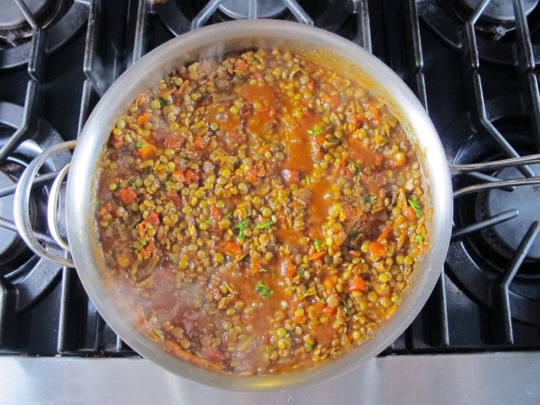 Vegan Lentil Bolognese sauce - “Faux”-lognese recipe for flavorful, healthy meatless pasta sauce with lentils, mushrooms, fire-roasted tomatoes and spices on ToriAvey.com
