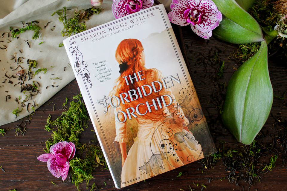 Tori's Bookshelf - The Forbidden Orchid by Sharon Biggs Waller. Book description and interview with the author.