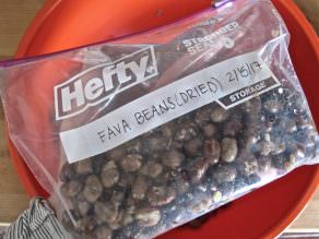 Dried Fava Beans in plastic bag on table labeled with date