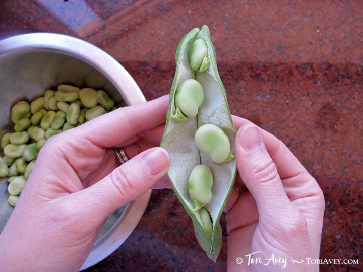 All About Fava Beans How To Cook Soak Peel Freeze Tori Avey