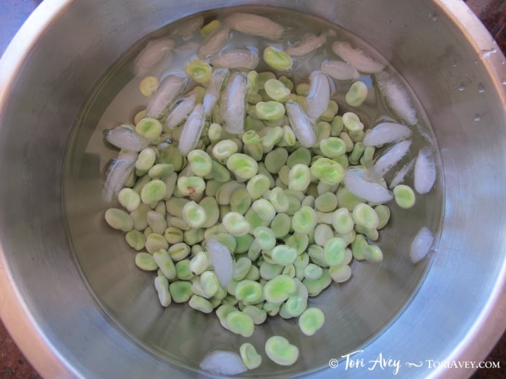 All About Fava Beans: How to Cook, Soak, Peel and Freeze - Learn how to cook all varieties of fava beans to prepare them for use in recipes. Includes storage and freezing techniques.