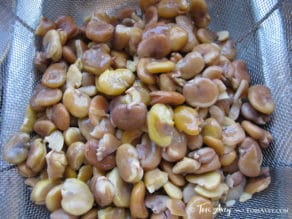 All About Fava Beans: How to Cook, Soak, Peel and Freeze - Learn how to cook all varieties of fava beans to prepare them for use in recipes. Includes storage and freezing techniques.