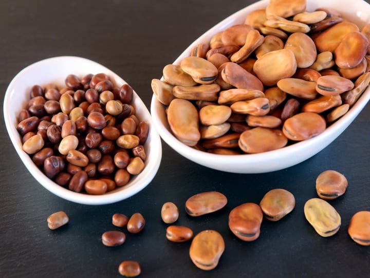 Dried large and small fava beans in two white dishes on black background.