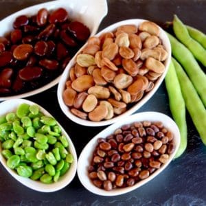 Four white dishes containing different kinds of fava beans - canned fava beans, large dried fava beans, small dried fava beans, and fresh fava beans. Next to the dishes are 5 green fava bean pods.