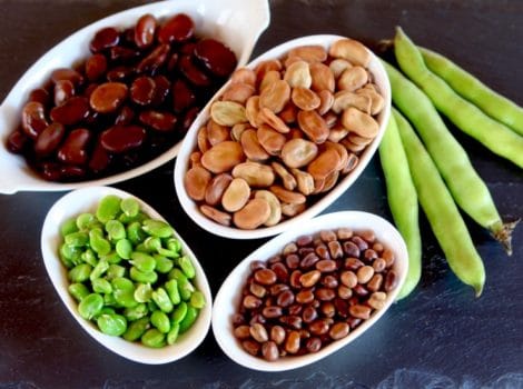Four white dishes containing different kinds of fava beans - canned fava beans, large dried fava beans, small dried fava beans, and fresh fava beans. Next to the dishes are 5 green fava bean pods.