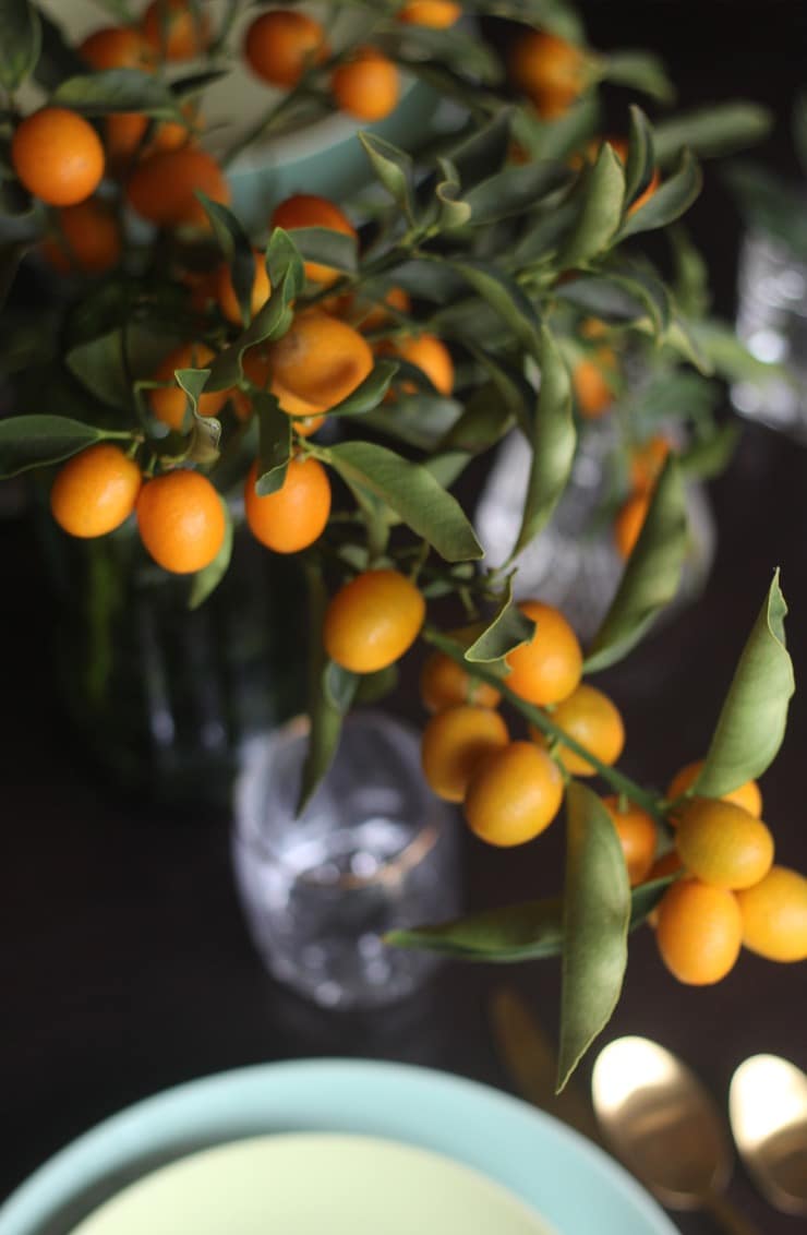 Close up of kumquat branch in clear vintage vase.