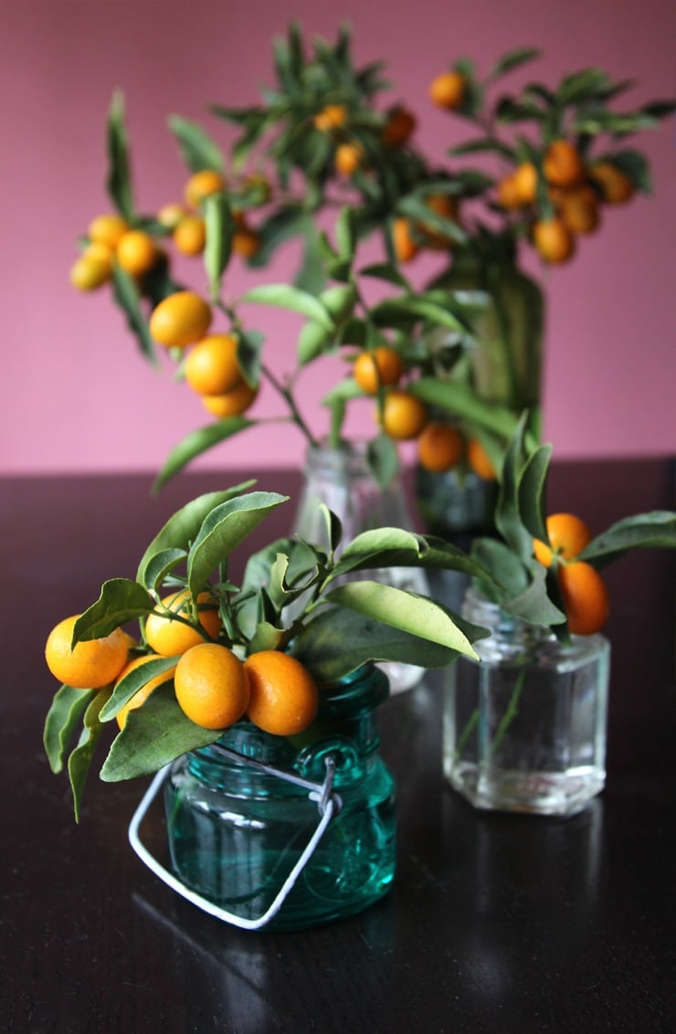 A variety of colorful vintage vases with kumquat branches on table.