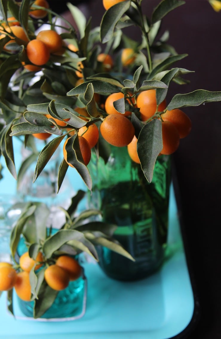 A variety of colorful vintage vases with kumquat branches on aqua colored tray.