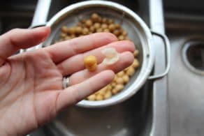 A person holding a small piece of chickpeas and its skin in their hand