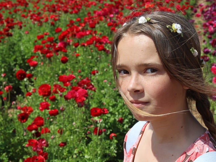 A young girl in front of a field of red ranunculus blooms.