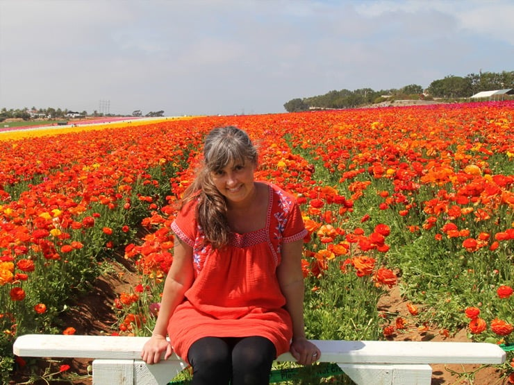 A woman in a red dress sitting in a white bench in front of a field of red ranunculus blooms.