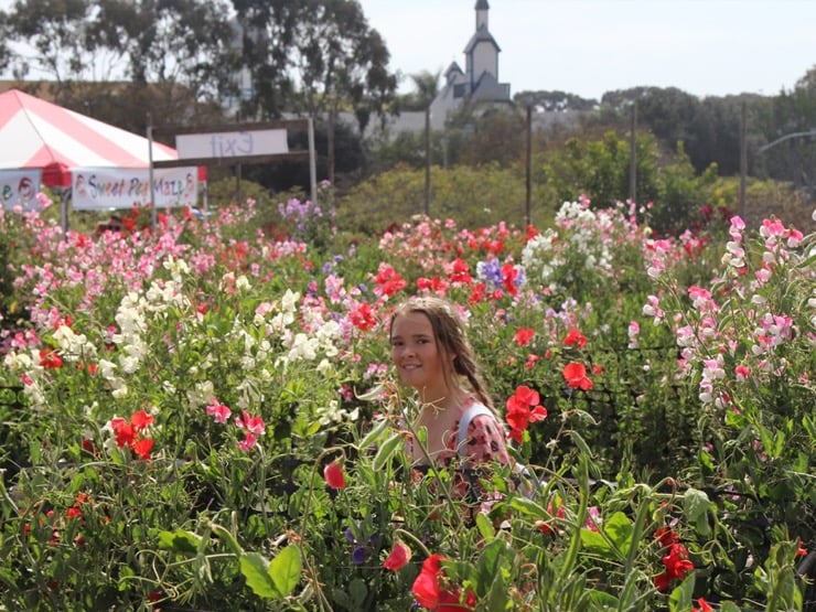 Young girl smiling in a field of colorful ranunculus blooms.