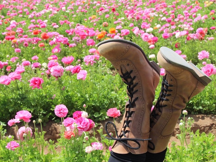 A pair of women\'s feet in brown boots are kicked up in front of a field of pink ranunculus blooms.