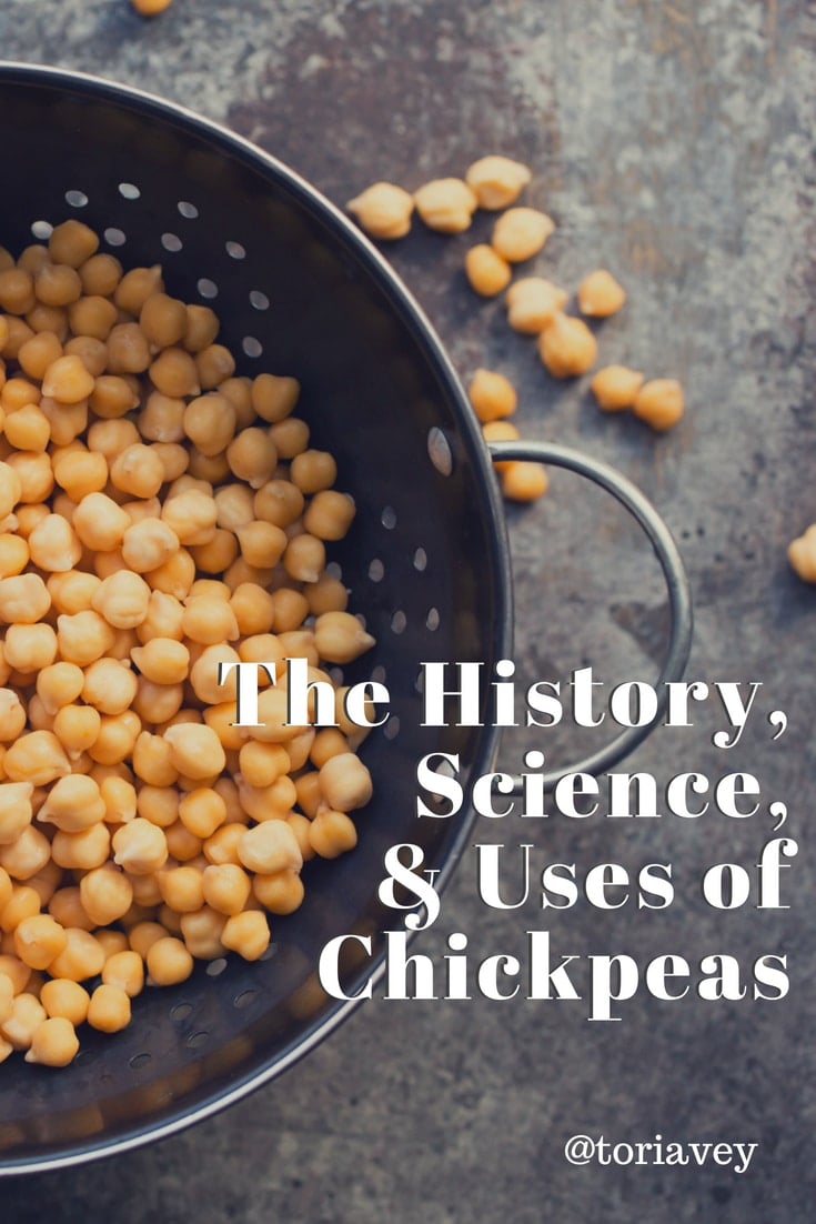 The History, Science, and Uses of Chickpeas. Learn everything you ever wanted to know about chick peas, also known as garbanzo beans. Includes healthy, delicious recipes. | Tori Avey #chickpeas #garbanzobeans #history #foodscience #healthyrecipes