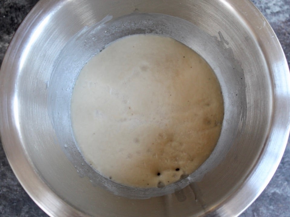 Yeast bubbly in a bowl with liquid.