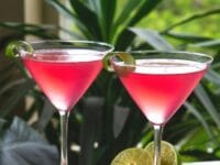 Cranberry Vodka Cosmo Cocktail - The Cosmopolitan Pinterest Pin