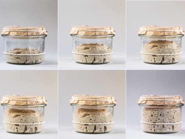 Six glass jars of sourdough starter covered in paper and tied with twine, showing the various stages of fermentation as sourdough starter grows. From left to right, images progress from young starter to mature.