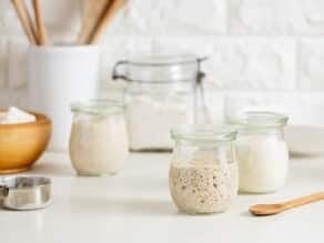 Three small glass jars of sourdough starter in various stages of ferment, with a larger jar of flour and a wooden dish of flour in background. Small wooden spoon and metal measuring cup in foreground, white container of wooden utensils in background, against a white brick wall.